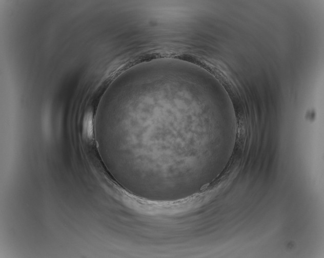 X0000094800046200711161508