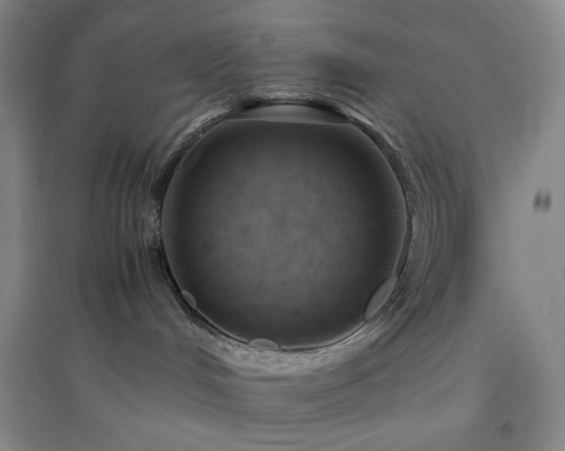 X0000094800048200711161508