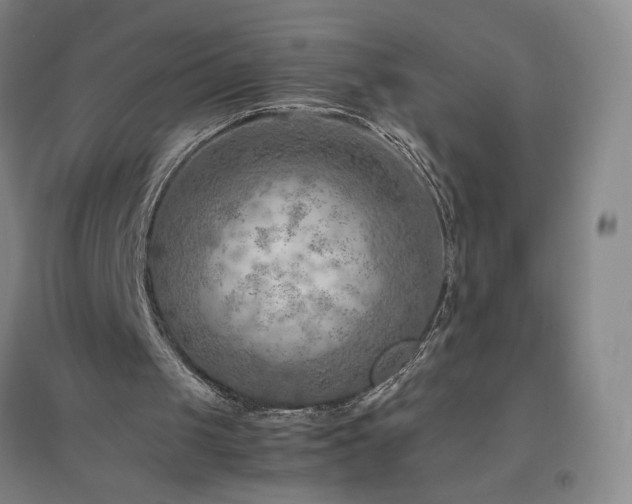 X0000094800049200711161507