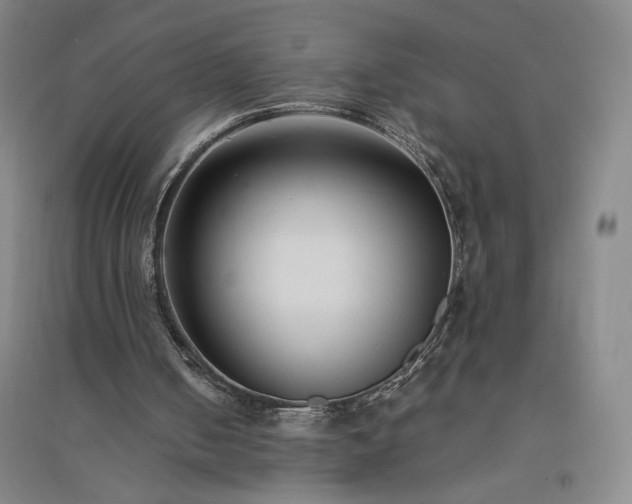 X0000094800050200711161507