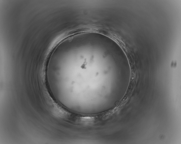 X0000094800053200711161507