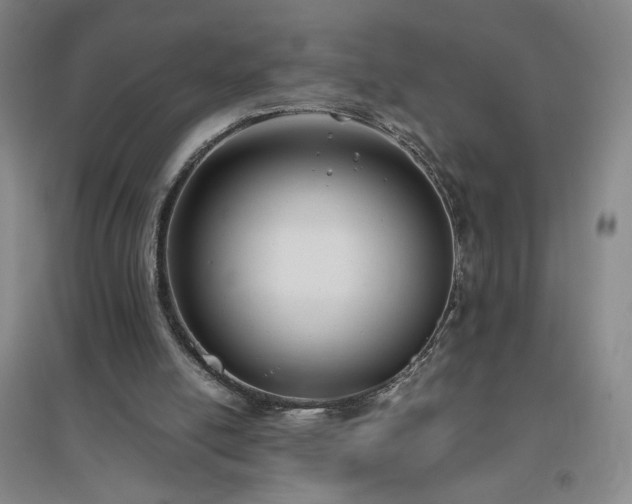 X0000094800054200711161507