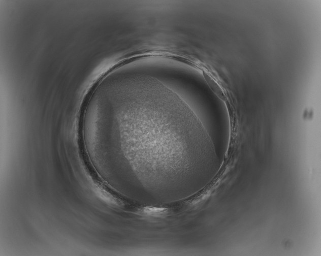 X0000094800055200711161507