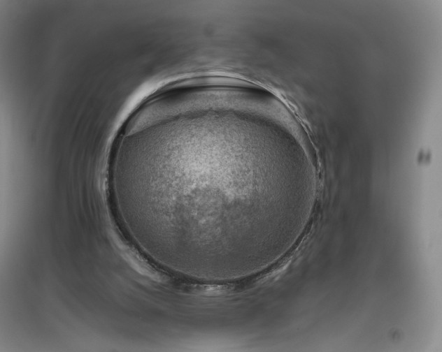 X0000094800056200711161507