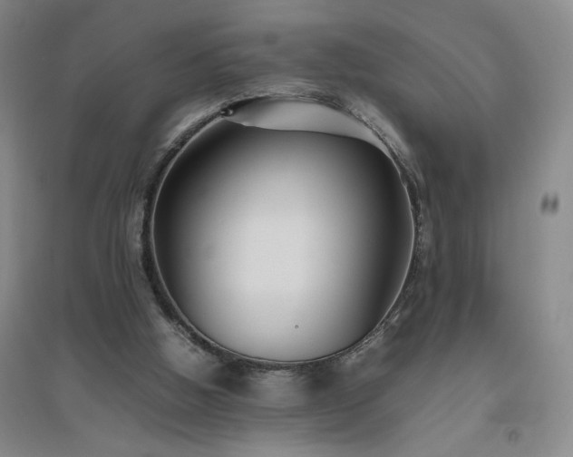 X0000094800058200711161507