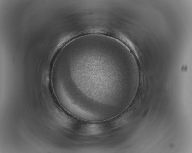 X0000094800059200711161507