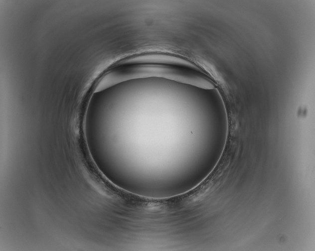 X0000094800060200711161507