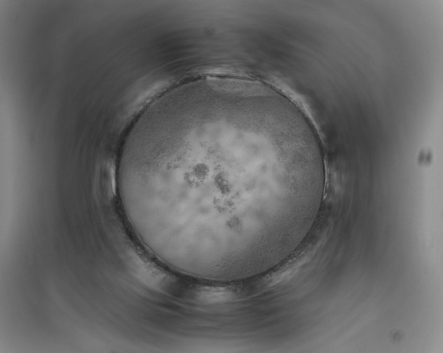 X0000094800061200711161507