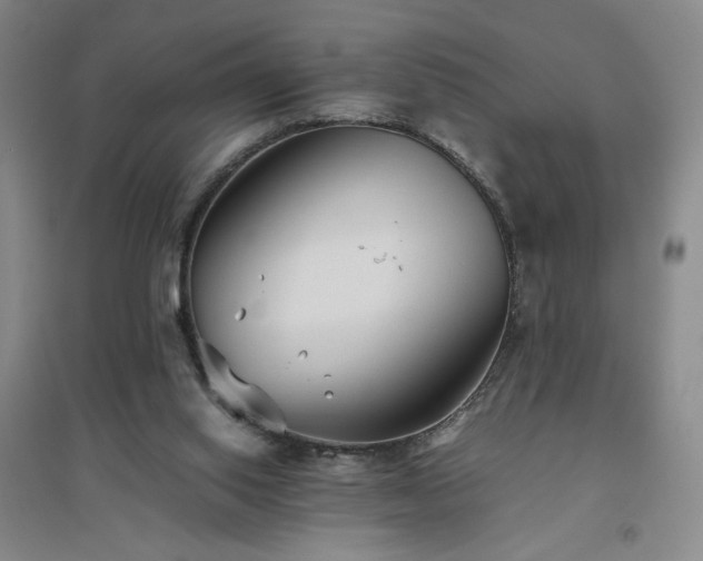 X0000094800062200711161507