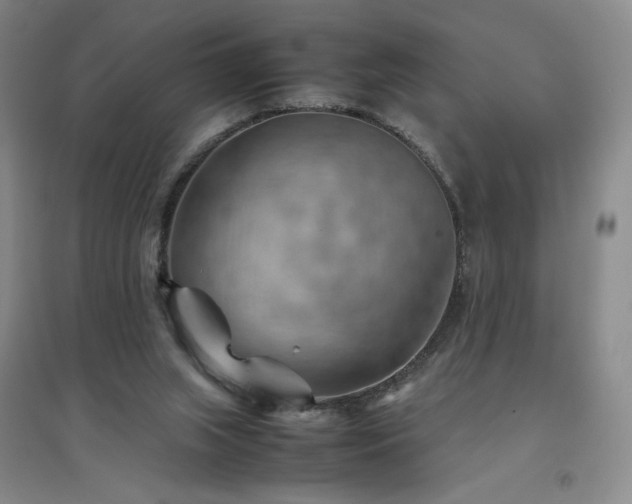 X0000094800063200711161507
