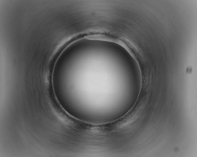 X0000094800064200711161507