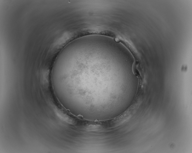 X0000094800066200711161507