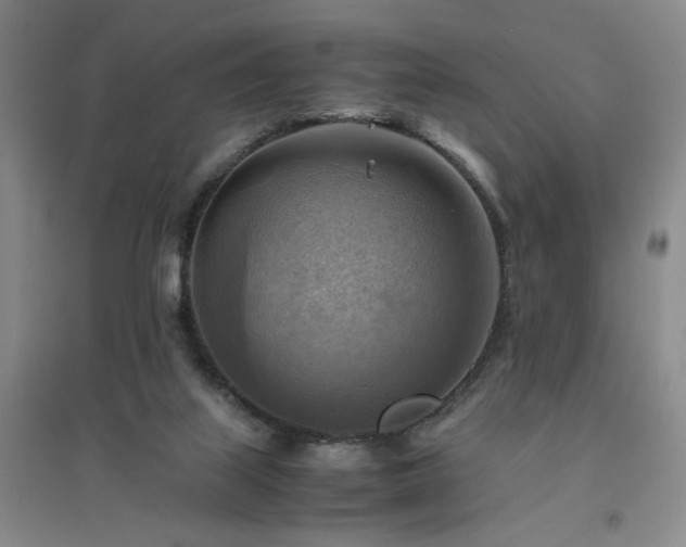 X0000094800067200711161507