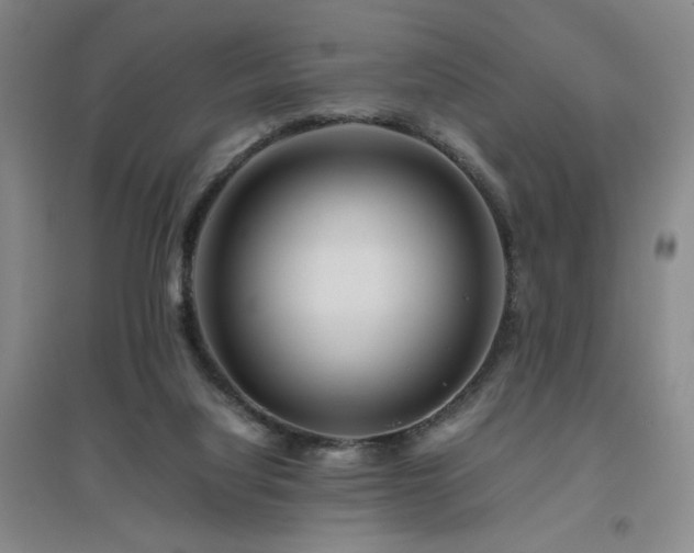 X0000094800068200711161507