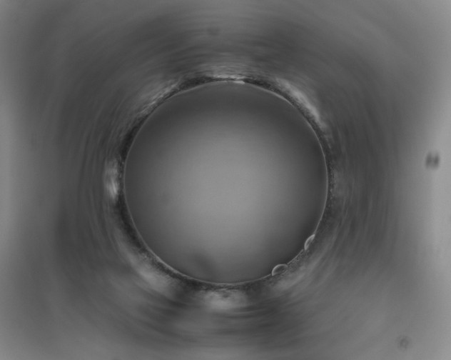 X0000094800069200711161507
