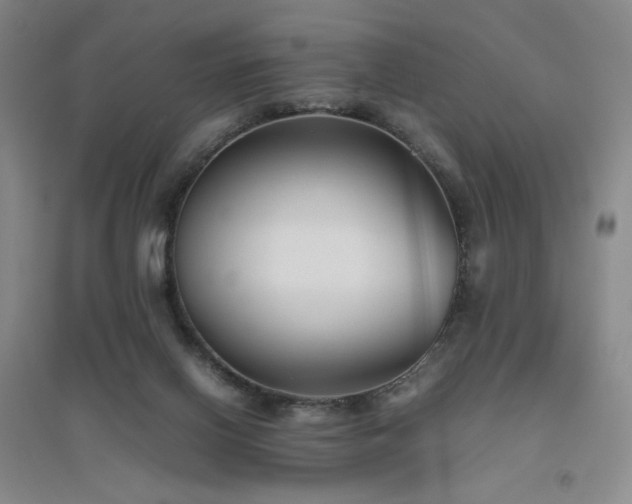 X0000094800070200711161507