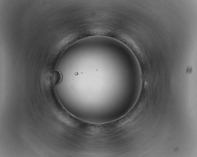 X0000094800071200711161507