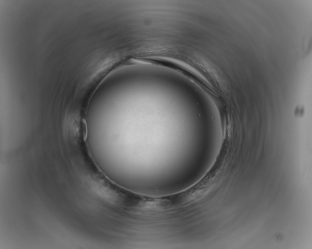 X0000094800072200711161508
