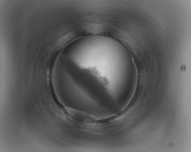 X0000094800073200711161508