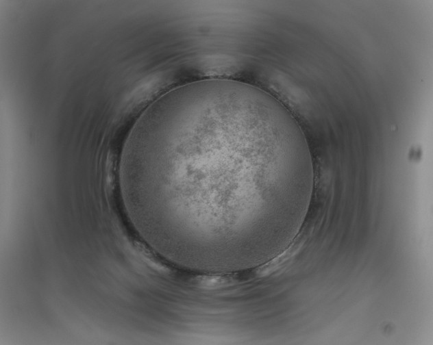 X0000094800074200711161508
