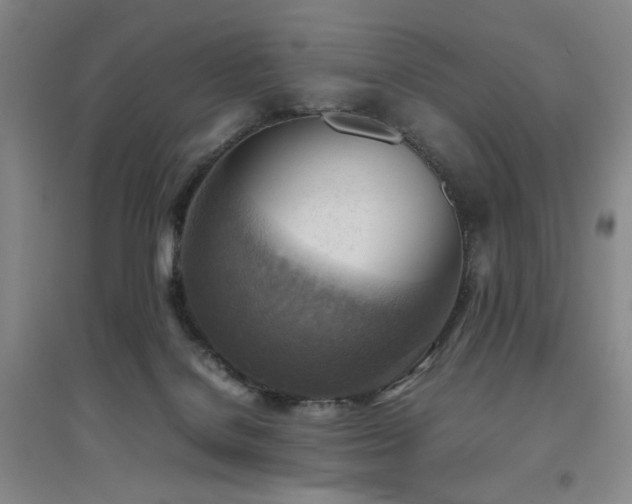 X0000094800076200711161508