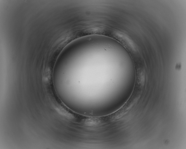 X0000094800077200711161508