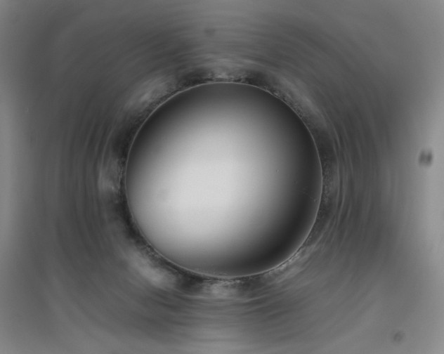 X0000094800078200711161508