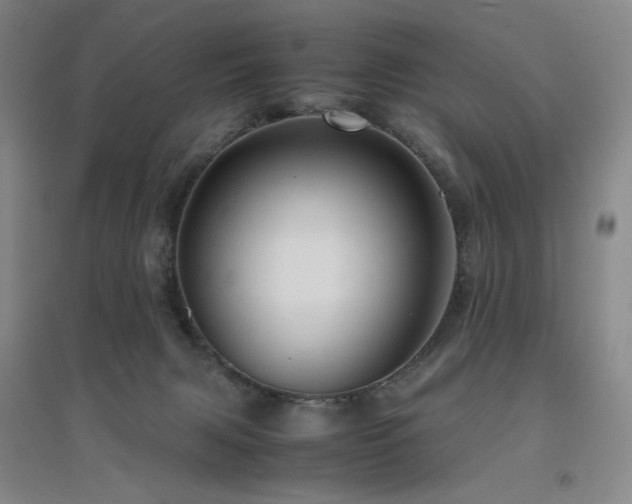 X0000094800079200711161508