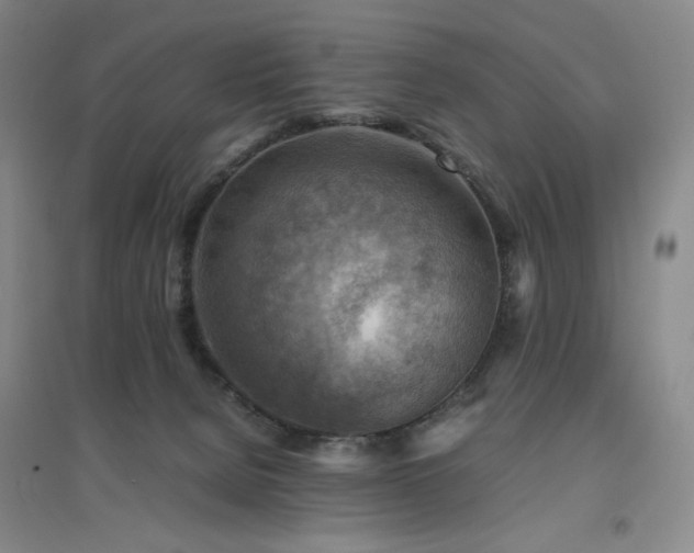 X0000094800080200711161508