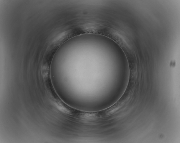 X0000094800081200711161508