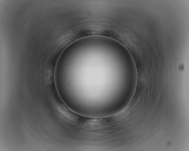 X0000094800082200711161508