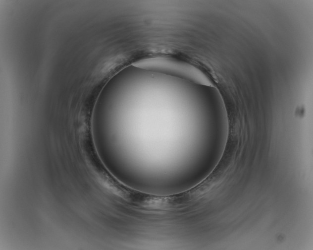X0000094800084200711161508