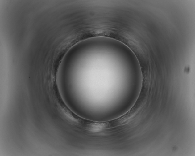 X0000094800085200711161508