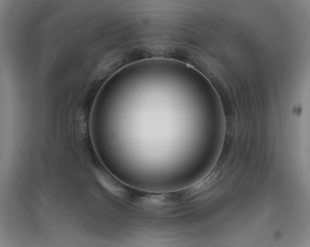 X0000094800086200711161508