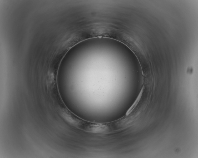 X0000094800087200711161508