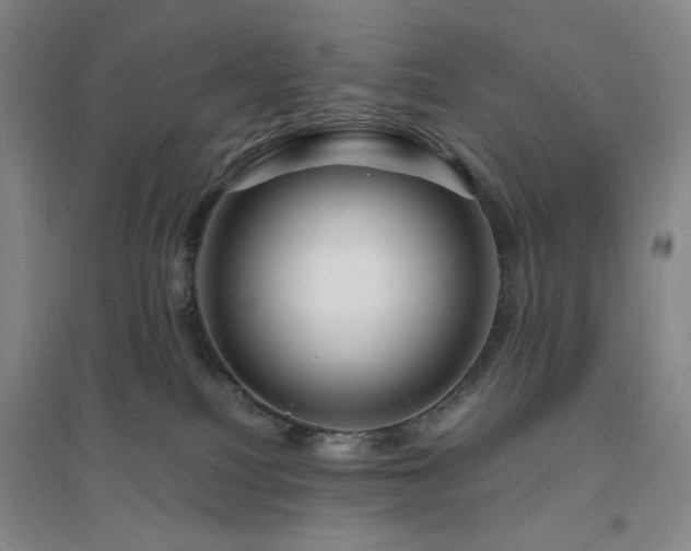 X0000094800088200711161508