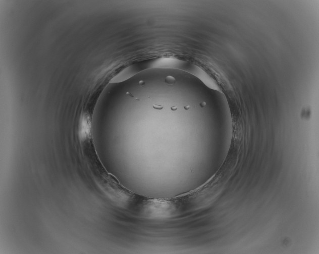X0000094800095200711161508
