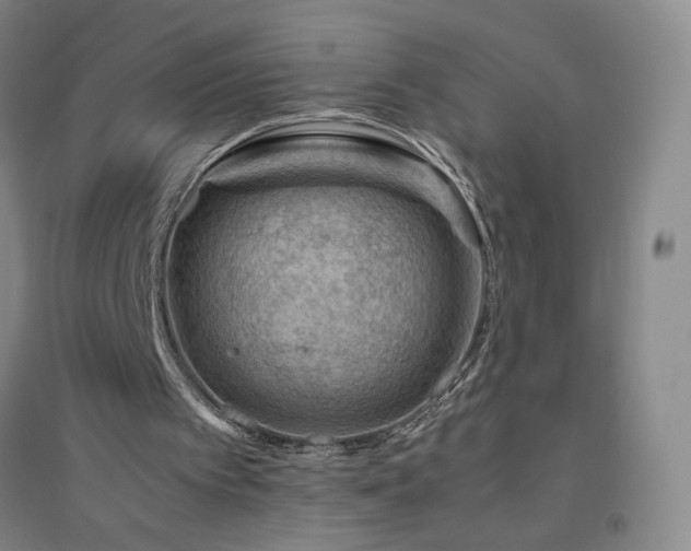 X0000094800097200711161507
