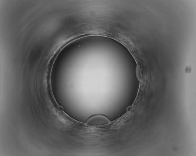 X0000094800098200711161507