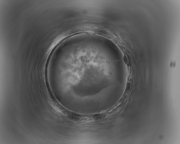 X0000094800099200711161507
