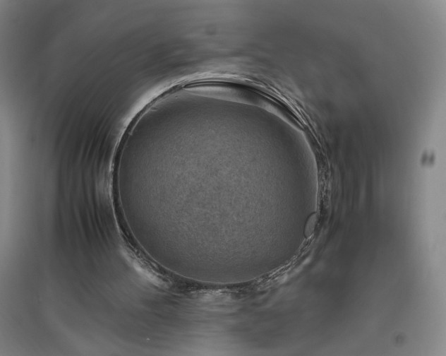 X0000094800100200711161507