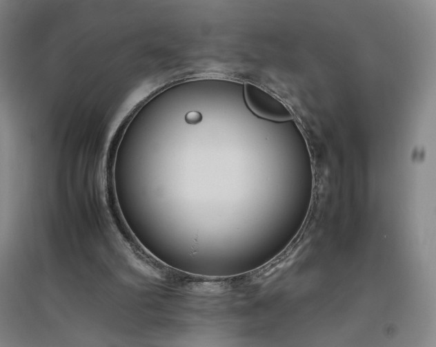 X0000094800102200711161507