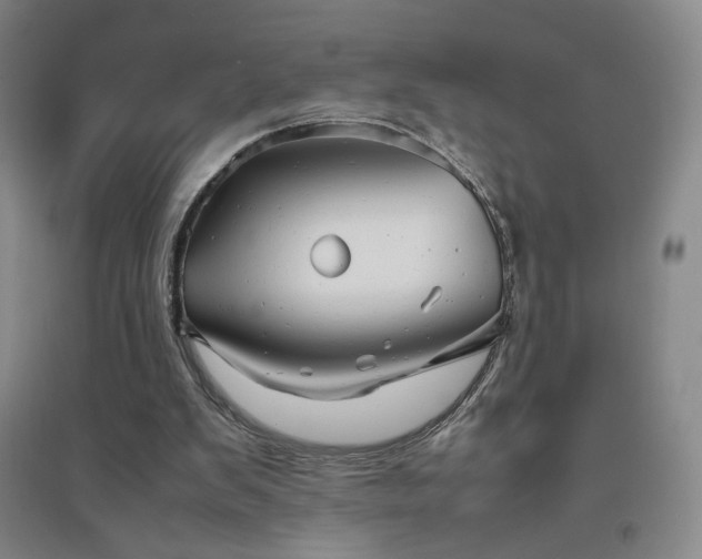 X0000094800103200711161507