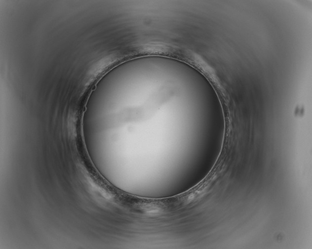 X0000094800106200711161507