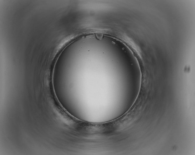 X0000094800107200711161507