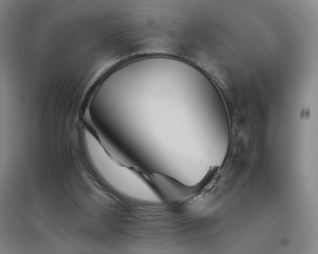X0000094800108200711161507
