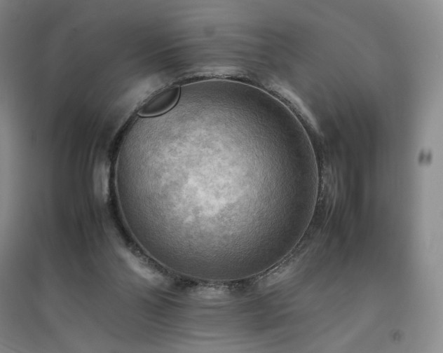 X0000094800110200711161507
