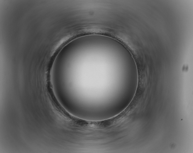 X0000094800111200711161507