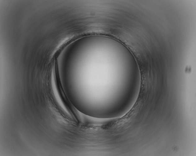 X0000094800112200711161507