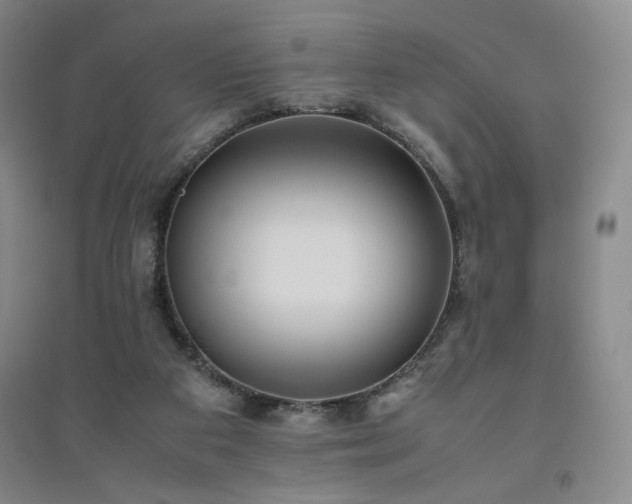 X0000094800113200711161507